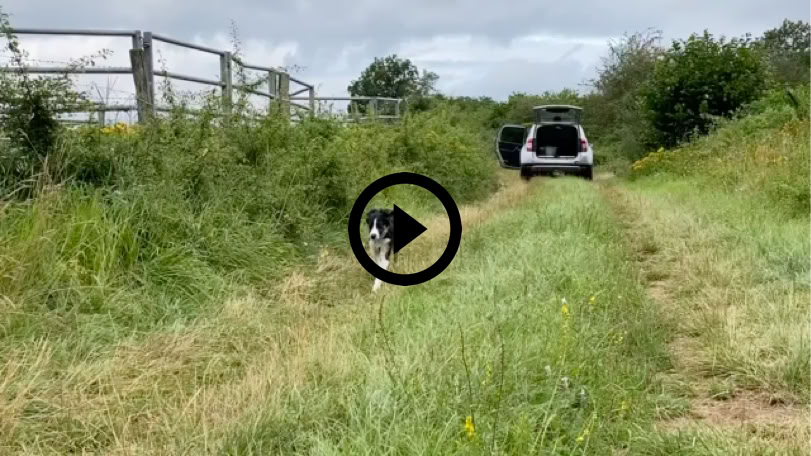 Lire la vidéo
